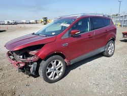 Vehiculos salvage en venta de Copart San Diego, CA: 2014 Ford Escape Titanium