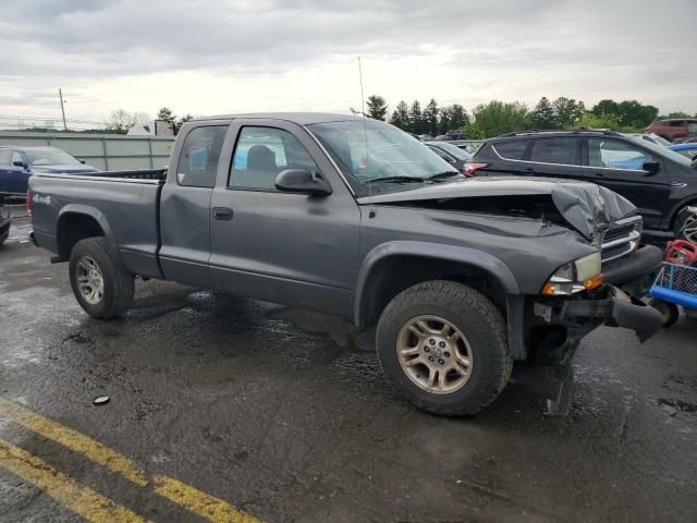 2004 Dodge Dakota SXT