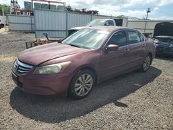 Salvage cars for sale at auction: 2012 Honda Accord EXL