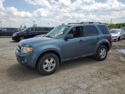 Ford salvage cars for sale: 2010 Ford Escape XLT