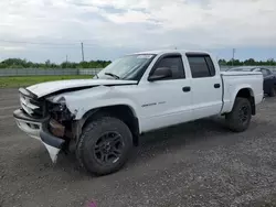 Salvage cars for sale from Copart Ontario Auction, ON: 2002 Dodge Dakota Quad Sport