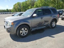 Salvage cars for sale at Glassboro, NJ auction: 2010 Ford Escape Limited