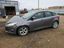 Salvage cars for sale from Copart Bismarck, ND: 2013 Ford Focus SE