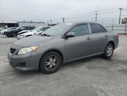 2010 Toyota Corolla Base for sale in Sun Valley, CA