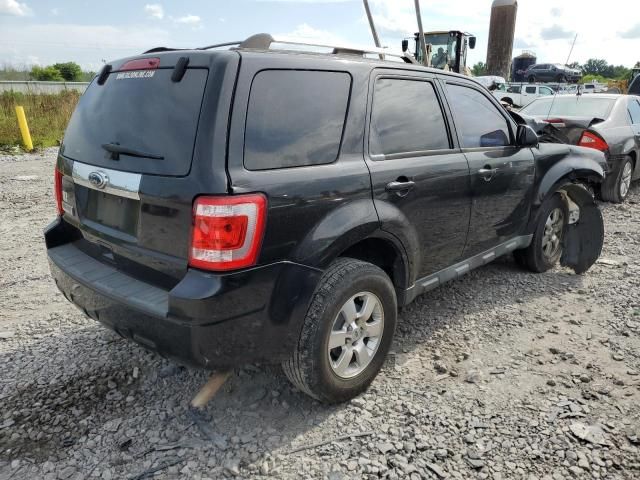 2011 Ford Escape Limited