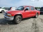 2004 Dodge Dakota Quad SLT