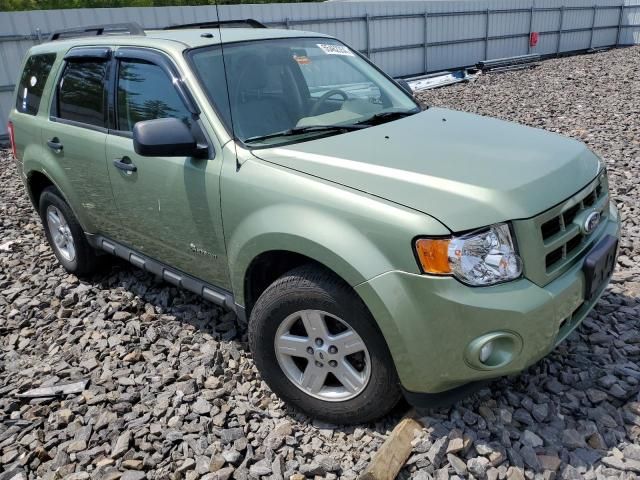 2010 Ford Escape Hybrid