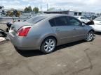 2005 Nissan Maxima SE