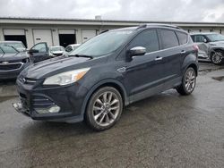 Ford Escape salvage cars for sale: 2015 Ford Escape SE