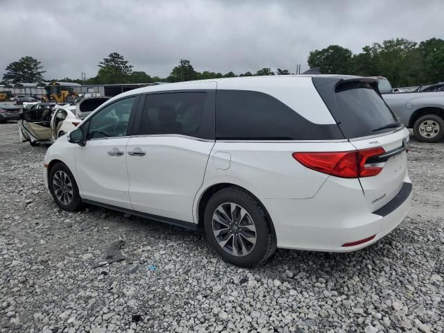 2022 Honda Odyssey EXL