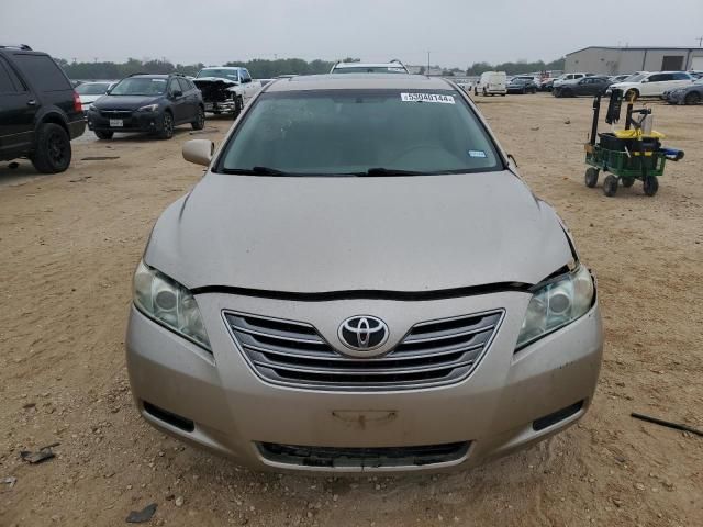 2009 Toyota Camry Hybrid