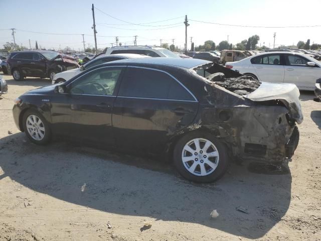 2009 Toyota Camry Hybrid