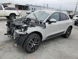 Salvage cars for sale at Sun Valley, CA auction: 2023 Porsche Macan Base