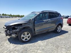 Salvage cars for sale at Antelope, CA auction: 2015 Ford Escape SE