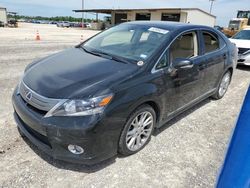 Lexus salvage cars for sale: 2010 Lexus HS 250H