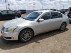 2004 Nissan Maxima SE