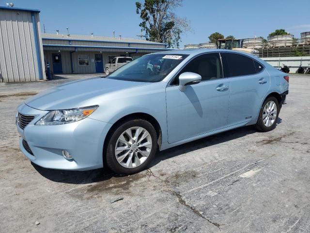 2013 Lexus ES 300H