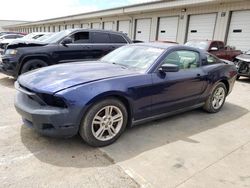Salvage cars for sale from Copart Louisville, KY: 2010 Ford Mustang