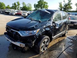 Salvage cars for sale at Bridgeton, MO auction: 2017 Honda CR-V LX