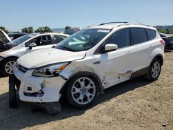 Salvage cars for sale at San Martin, CA auction: 2014 Ford Escape Titanium