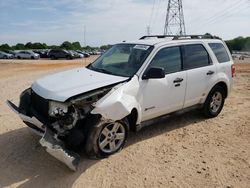 Salvage cars for sale from Copart China Grove, NC: 2010 Ford Escape Hybrid