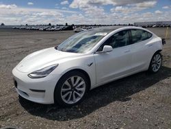 Salvage cars for sale from Copart Airway Heights, WA: 2020 Tesla Model 3