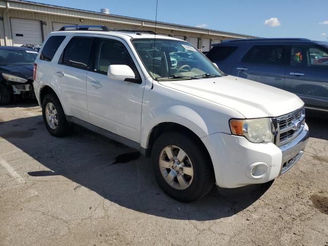 2010 Ford Escape Limited