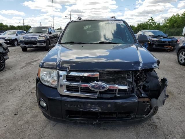 2009 Ford Escape XLT