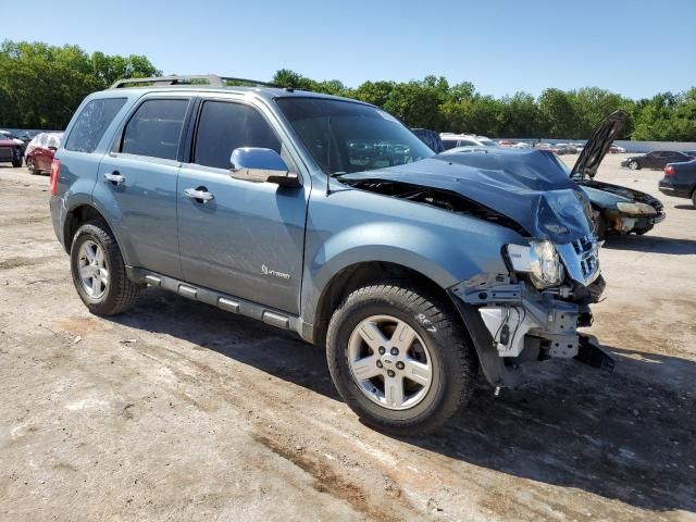 2011 Ford Escape Hybrid