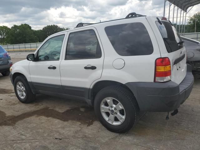 2005 Ford Escape XLT