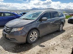 Salvage cars for sale at Magna, UT auction: 2016 Honda Odyssey SE