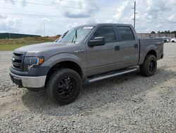Salvage cars for sale at Tifton, GA auction: 2013 Ford F150 Supercrew