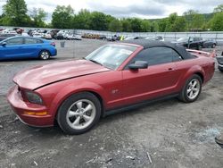 Ford Mustang GT salvage cars for sale: 2007 Ford Mustang GT