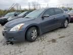 2010 Nissan Altima Base