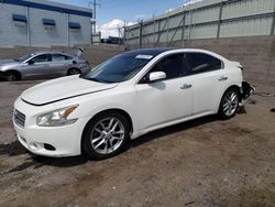 Salvage cars for sale from Copart Albuquerque, NM: 2010 Nissan Maxima S