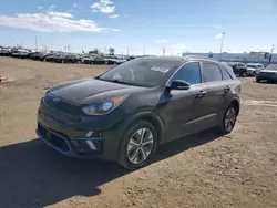 Salvage cars for sale at Brighton, CO auction: 2019 KIA Niro EX