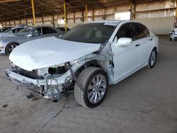 Salvage cars for sale at Phoenix, AZ auction: 2013 Honda Accord EXL