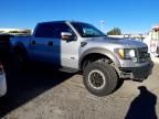 2012 Ford F150 SVT Raptor