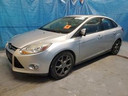 Ford salvage cars for sale: 2014 Ford Focus SE