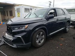 2024 Honda Pilot EXL en venta en New Britain, CT