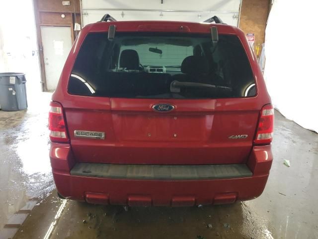 2008 Ford Escape XLT