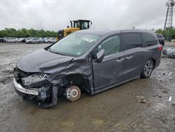 Salvage cars for sale at Windsor, NJ auction: 2024 Honda Odyssey Touring