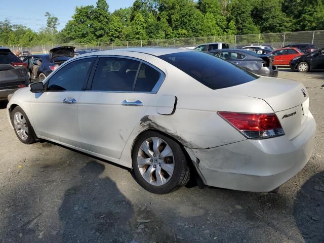 2010 Honda Accord EXL