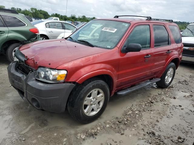 2007 Ford Escape XLT