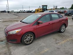 Salvage cars for sale at Oklahoma City, OK auction: 2016 Ford Focus SE
