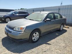 Salvage cars for sale from Copart Anderson, CA: 2005 Chevrolet Malibu LS