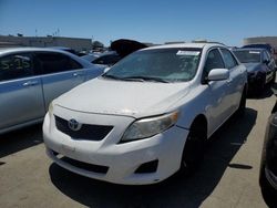Salvage cars for sale at Martinez, CA auction: 2010 Toyota Corolla Base
