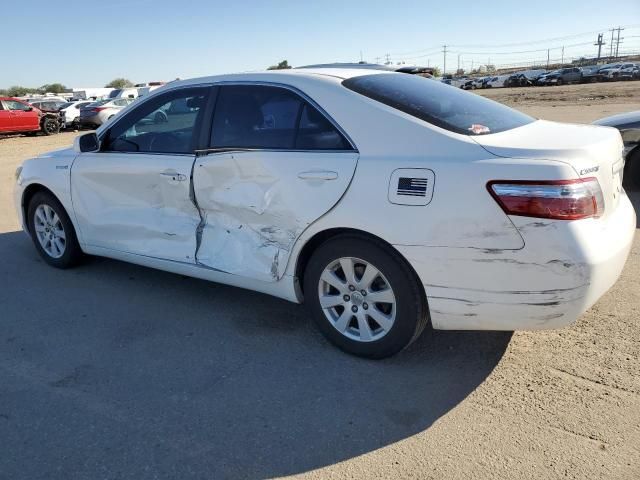 2009 Toyota Camry Hybrid