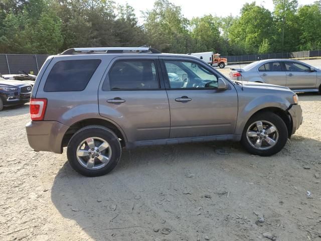 2010 Ford Escape Limited