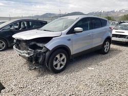 Ford Vehiculos salvage en venta: 2014 Ford Escape SE